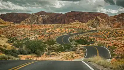 Image of a winding road representing the winding road ahead faced by manufacturers in today's tariff environment