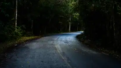 Country roads with natural roadside trees representing the risks that state and local governments face